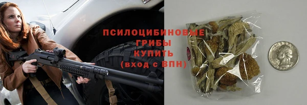 героин Алексин