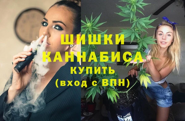 ешки Алзамай