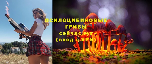 ешки Алзамай