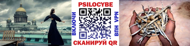 OMG маркетплейс  Новокубанск  Галлюциногенные грибы Psilocybe 