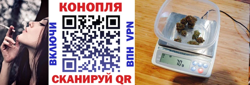 Шишки марихуана семена  где купить наркоту  Новокубанск 